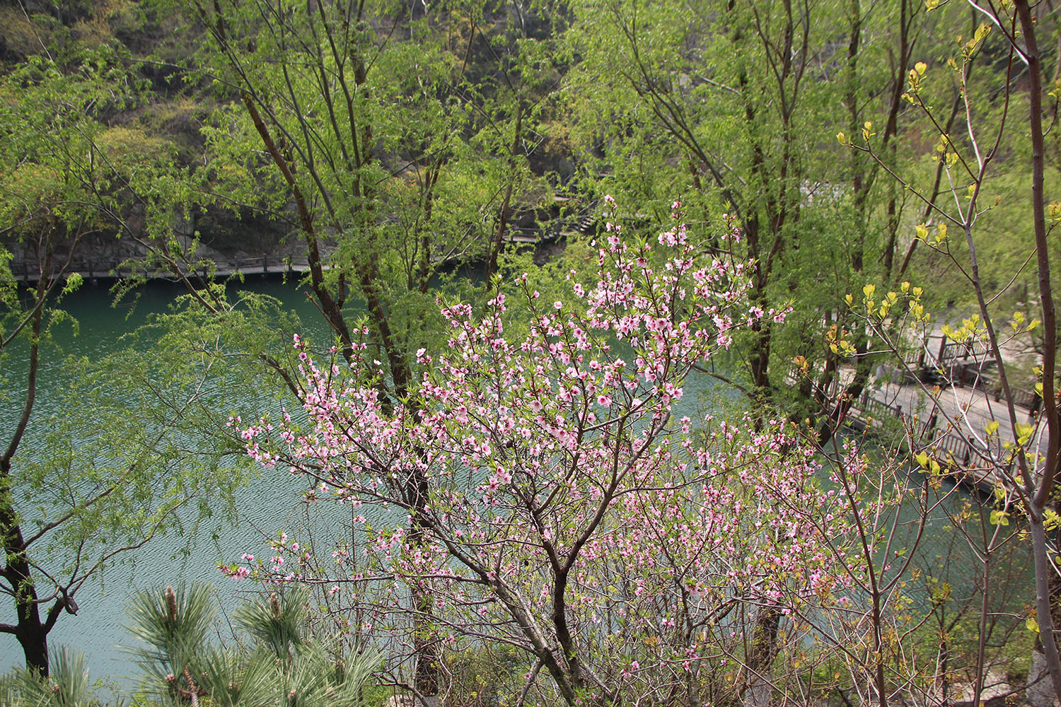 2021，濟(jì)南辰達(dá)試驗機(jī)制造有限公司九如山一日游！
